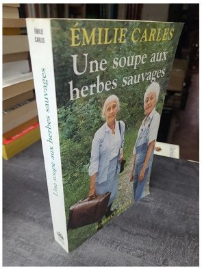Une soupe aux herbes sauvages, par Émilie Carles