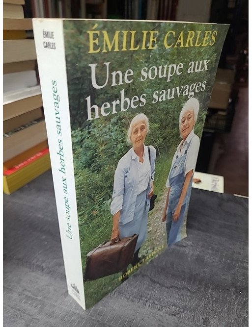 Une soupe aux herbes sauvages, par Émilie Carles
