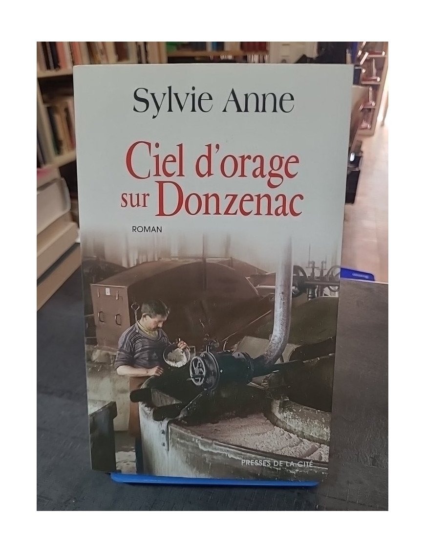 Ciel d'orage sur Donzenac de Sylvie Anne