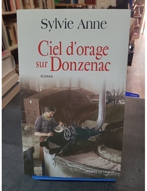 Ciel d'orage sur Donzenac de Sylvie Anne