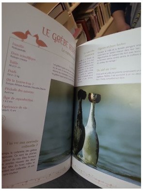 On n'est pas des bêtes ! L'encyclopédie de la séduction chez les animaux de Laurent Charbonnier et Éric Travers