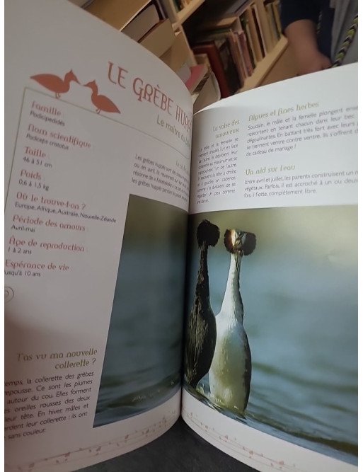 On n'est pas des bêtes ! L'encyclopédie de la séduction chez les animaux de Laurent Charbonnier et Éric Travers