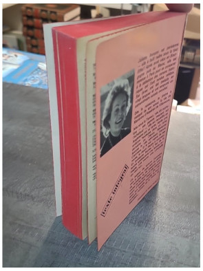 Marianne une etoile pour Napoleon Tome 1 par Juliette Benzoni