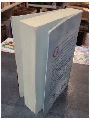 An Assassin's Creed Last descendants, Tome 02 - La tombe du khan de Matthew J. Kirby