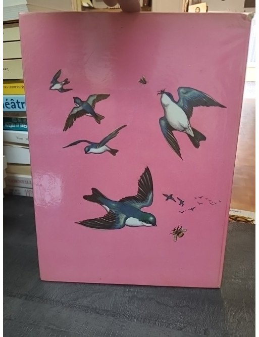 Nos Amis Les Oiseaux de Jane Werner Watson