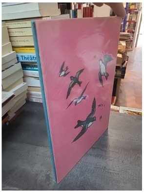 Nos Amis Les Oiseaux de Jane Werner Watson