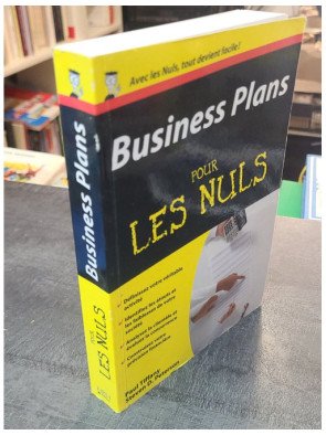 Business plans Poche Pour les nuls par Paul Tiffany : Élaborez un plan gagnant