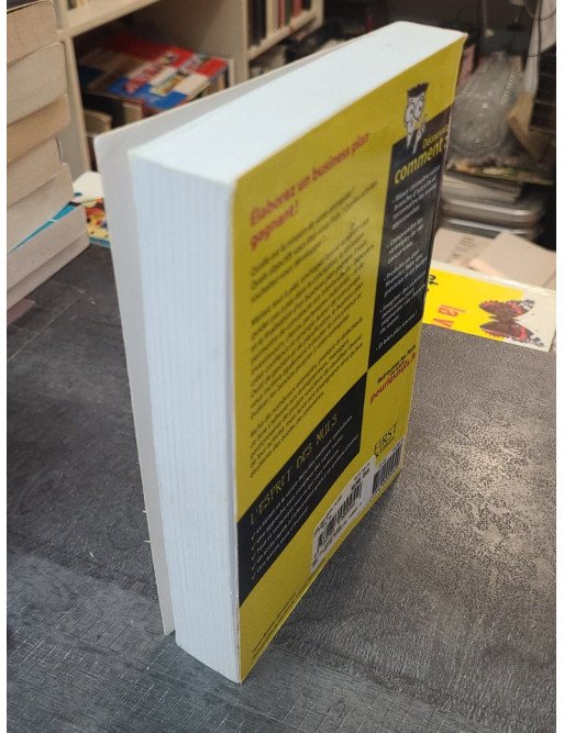 Business plans Poche Pour les nuls par Paul Tiffany : Élaborez un plan gagnant