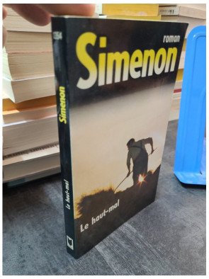 Le Haut Mal : un roman de Georges Simenon