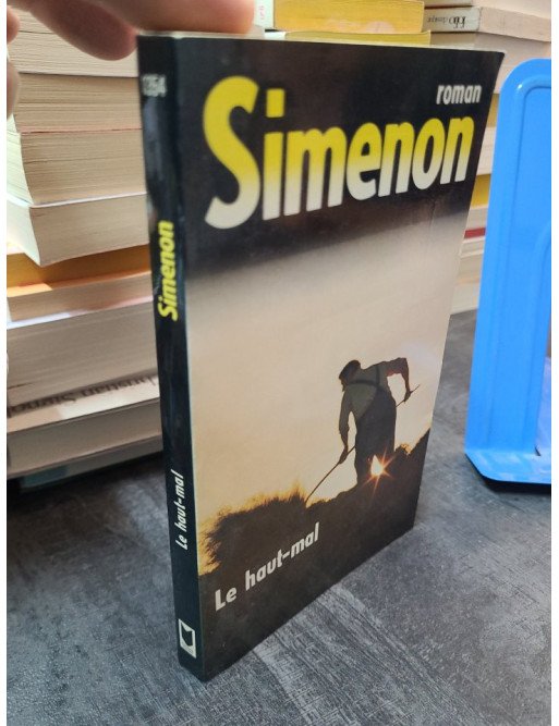 Le Haut Mal : un roman de Georges Simenon