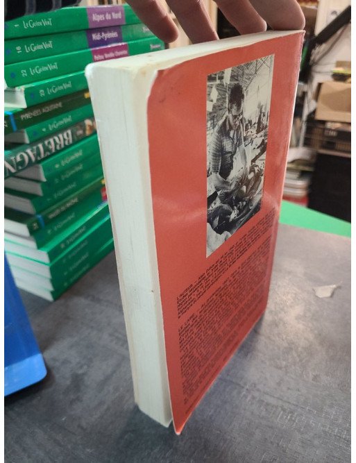 L'embuscade d'Alain Dubos, un roman intense de la collection Frères d'armes