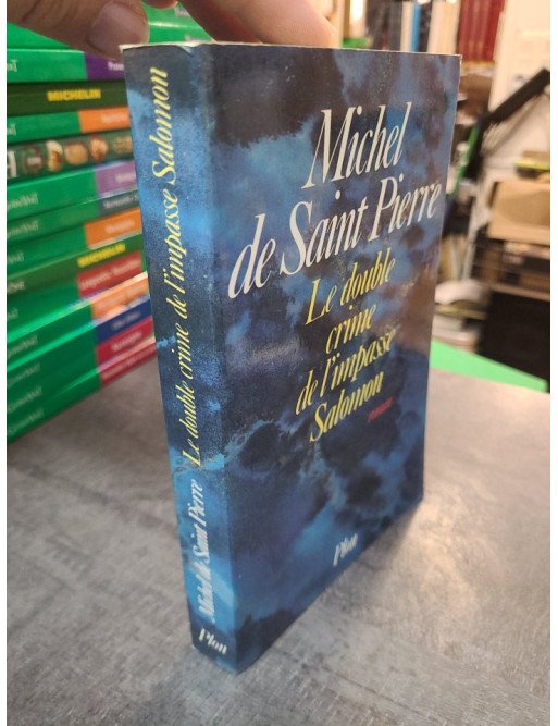 Le double crime de l'impasse Salomon, par Michel de Saint-Pierre