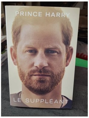 Le Suppléant par le Prince...