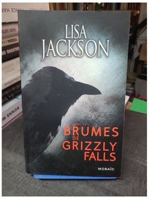 Dans les brumes de Grizzly...