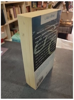 La mémoire des vies antérieures, les ascèses et vies successives de Denise Desjardins pour la spiritualité