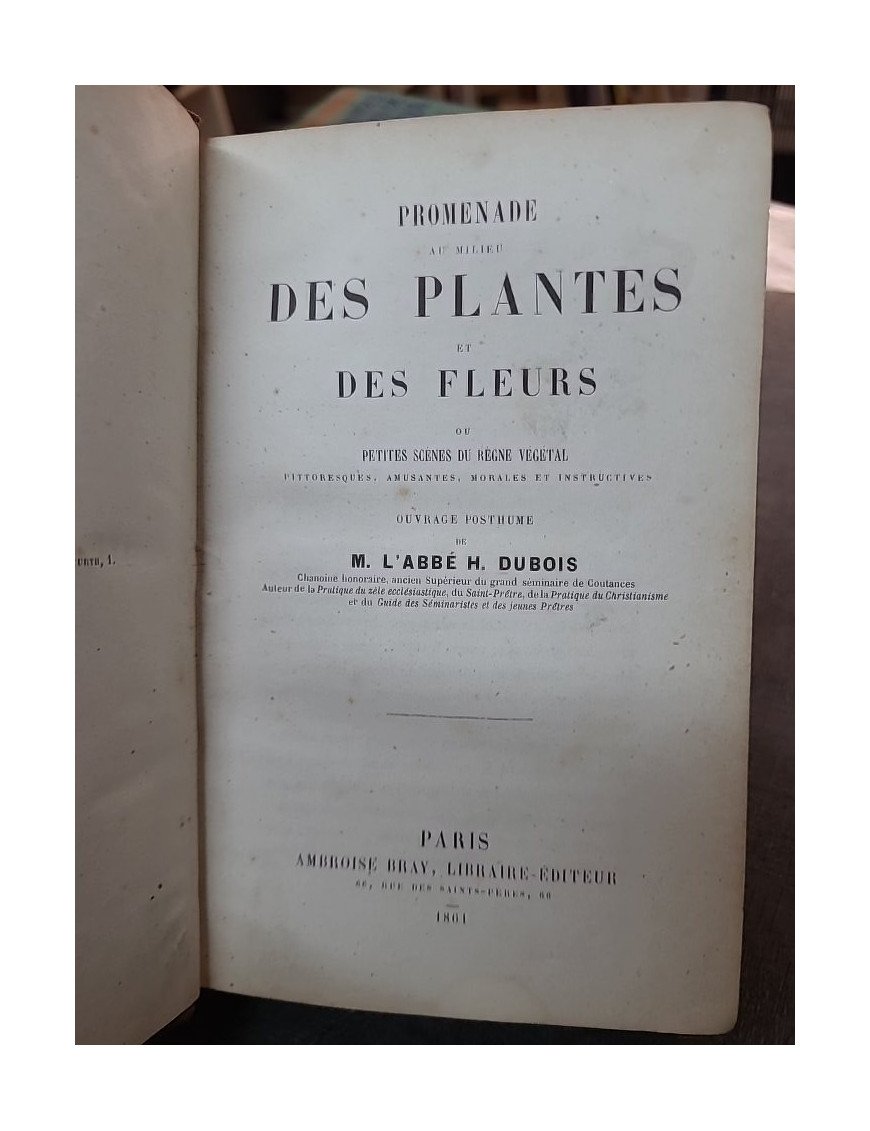Promenade au milieu des plantes et des fleurs, un guide par l'Abbé H. Dubois pour les amoureux de la nature