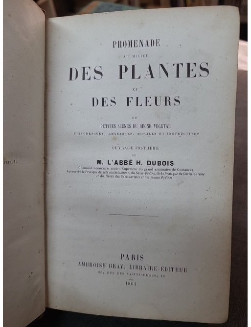 Promenade au milieu des plantes et des fleurs, un guide par l'Abbé H. Dubois pour les amoureux de la nature