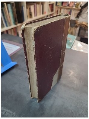 Promenade au milieu des plantes et des fleurs, un guide par l'Abbé H. Dubois pour les amoureux de la nature