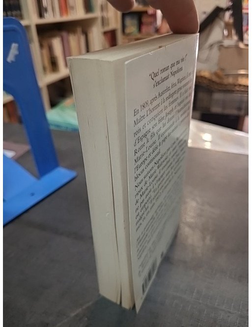 Napoléon, Tome 3 : L'empereur Des Rois par Max Gallo