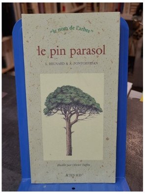 Le pin parasol - Le nom de...
