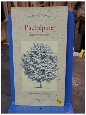L'aubepine - Le nom de...
