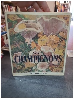 Les Champignons - Tableaux...