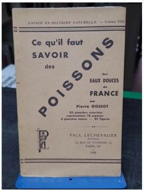 Ce qu'il faut savoir des...