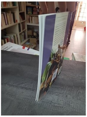 Moules Huitres Coquilles Saint-Jacques : Un Guide Culinaire pour les Amateurs de Fruits de Mer