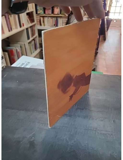 Ombre mon amie par Quentin et Albertine Deletaille
