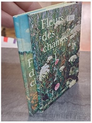 Fleurs des Champs - En 2 Volumes - Tome I + Tome II par Walter Rytz