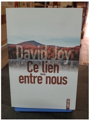 Ce lien entre nous de David...
