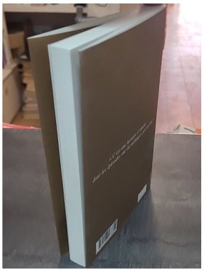 Journal d'Hirondelle par Amélie Nothomb