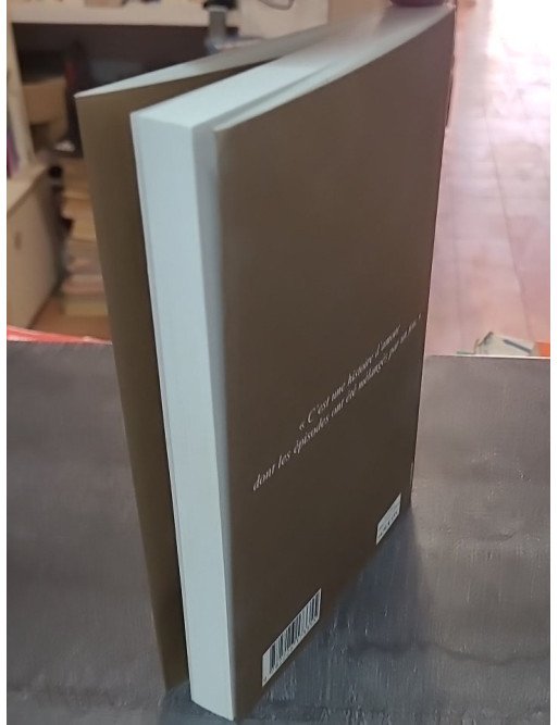 Journal d'Hirondelle par Amélie Nothomb