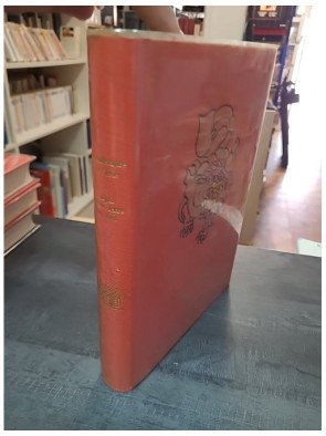 Connaissance de l'Asie : Népal entre terre et ciel par Huguette Ecole - Voyage illustré au cœur de l'Himalaya