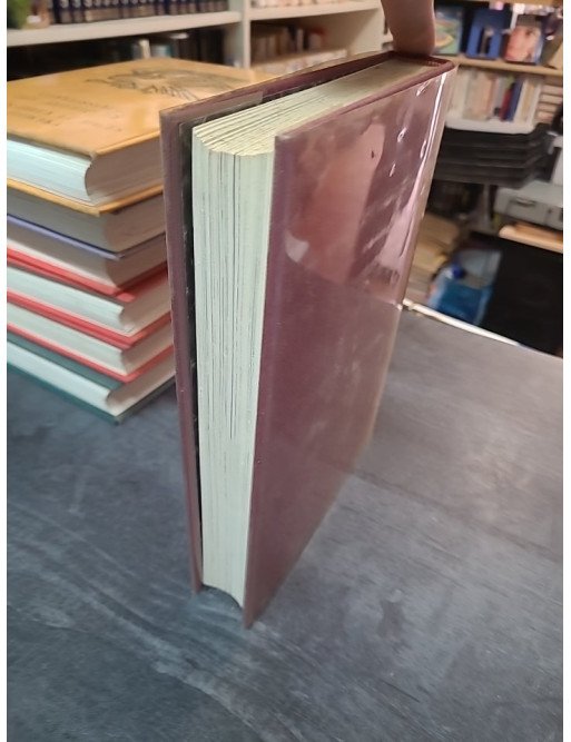 Connaissance du Passé : Enfants mystérieux de l'Histoire par Louis Mazoyer - 105 photos, 8 planches couleurs, 20 croquis inédits