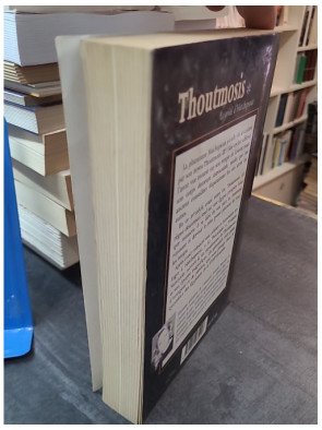 Thoutmosis Tome 1 - Le Rival d'Hatchepsout par Violaine Vanoyeke - Roman historique Égypte ancienne