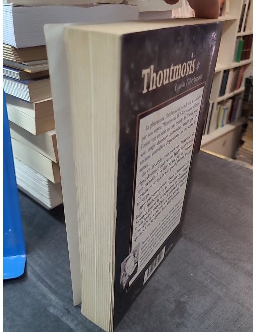 Thoutmosis Tome 1 - Le Rival d'Hatchepsout par Violaine Vanoyeke - Roman historique Égypte ancienne