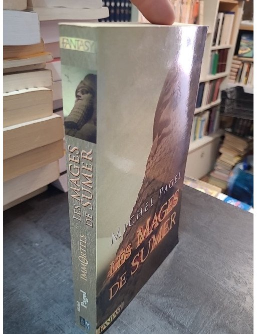 Les Mages de Sumer - Les immortels par Michel Pagel - Fantaisie épique et mythologie