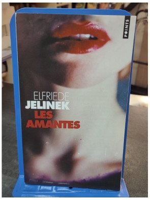 Les Amantes par Elfriede Jelinek - Roman de Poche Subversif et Captivant