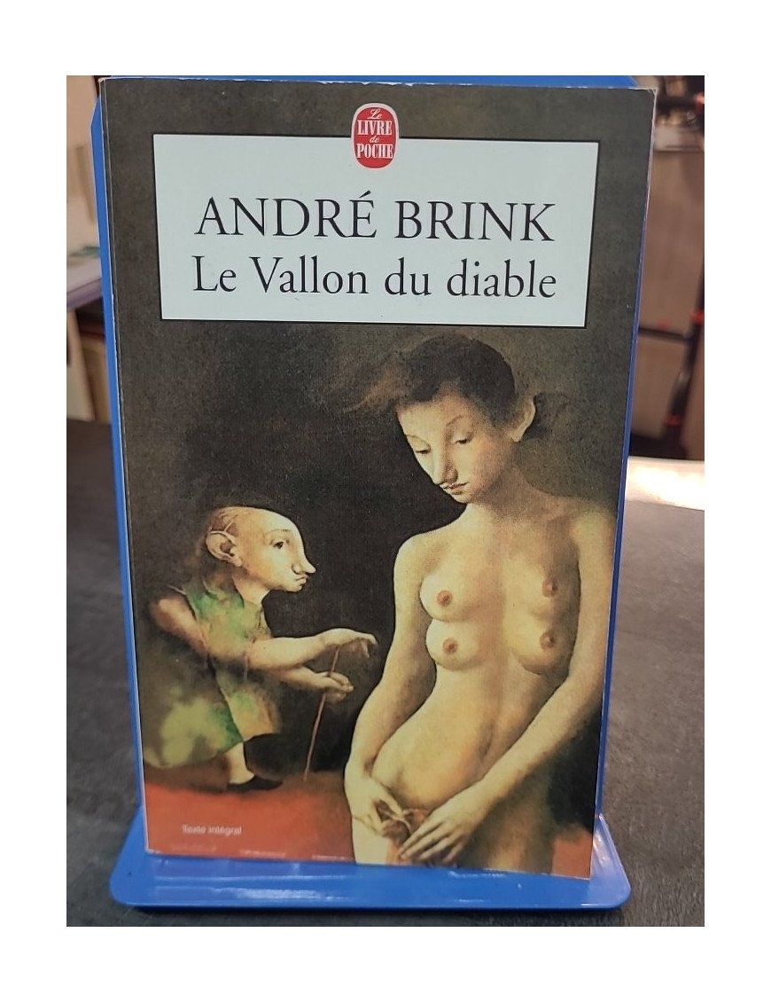 Le Vallon Du Diable par André Brink - Exploration de l'Afrique du Sud