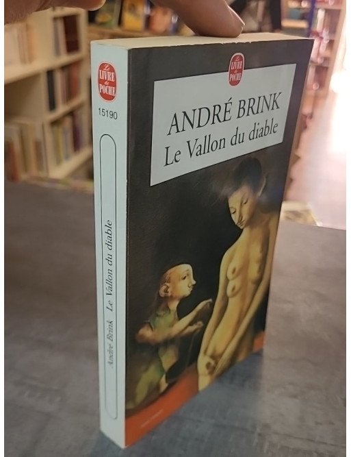 Le Vallon Du Diable par André Brink - Exploration de l'Afrique du Sud