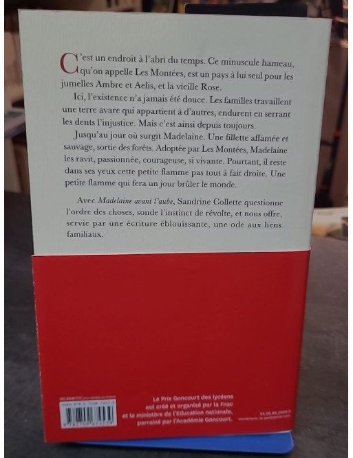 Madelaine avant l'aube par Sandrine Collette - Prix Goncourt des Lycéens 2024