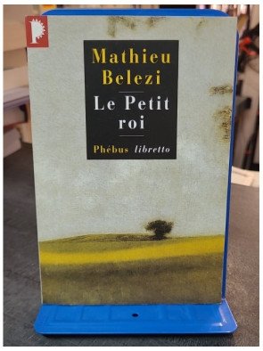 Le Petit Roi par Mathieu Belezi - Roman poignant sur l'enfance, la solitude et la résilience en Haute-Provence