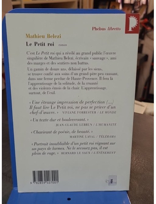 Le Petit Roi par Mathieu Belezi - Roman poignant sur l'enfance, la solitude et la résilience en Haute-Provence