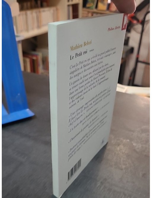 Le Petit Roi par Mathieu Belezi - Roman poignant sur l'enfance, la solitude et la résilience en Haute-Provence