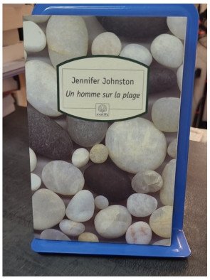 Un homme sur la plage par Jennifer Johnston - Roman poignant sur la vie en Irlande, entre drame et destin