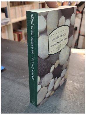 Un homme sur la plage par Jennifer Johnston - Roman poignant sur la vie en Irlande, entre drame et destin