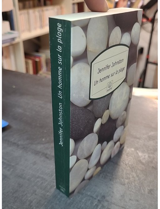 Un homme sur la plage par Jennifer Johnston - Roman poignant sur la vie en Irlande, entre drame et destin