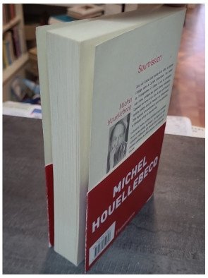 Soumission - Michel Houellebecq - Un roman d'anticipation politique saisissant