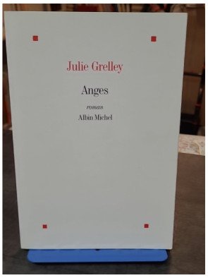 Anges - Un roman sombre et violent par Julie Grelley - Quête d'absolu et de pureté